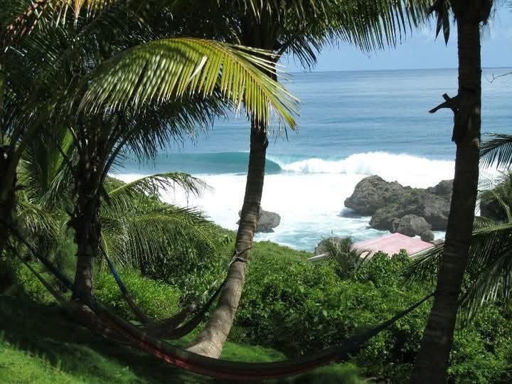 יעדי גלישה מומלצים: נובמבר